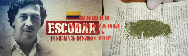 PSILOCYBIN Арсеньев