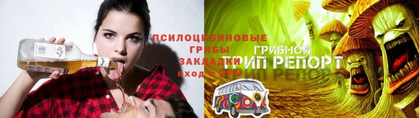 PSILOCYBIN Арсеньев