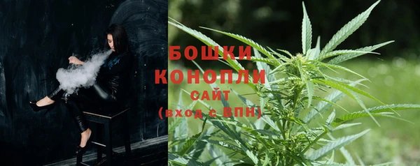 PSILOCYBIN Арсеньев