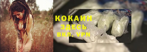 соль ск Аркадак