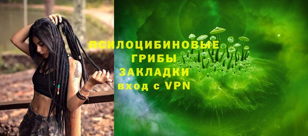 соль ск Аркадак